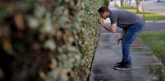 Vecinos de California vigilan a quienes malgastan agua