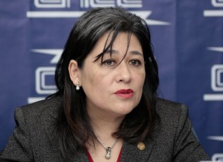 Revisan contratos de empresa vinculada a Presidenta de CNEE