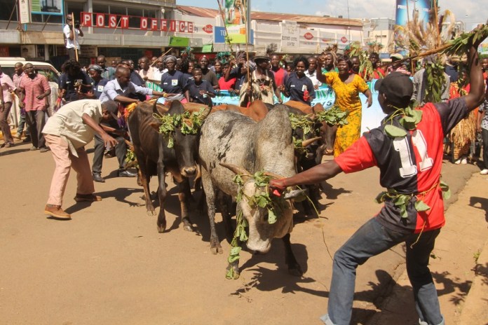 Kenya Luo Culture