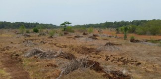 Empresa se retira de área protegida