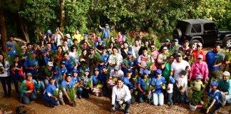 Voluntarios esperan sembrar un millón de árboles