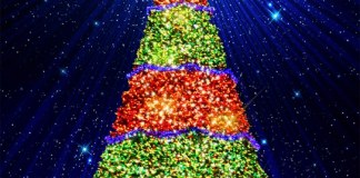 Cada año los guatemaltecos esperan la inauguración del Festival Árbol Gallo. Foto: La Hora.