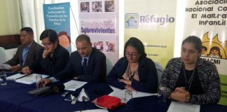 Entidades por la niñez exigen depuración de la CSJ y renuncia de Stalling