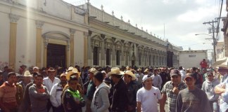 Por favoritismo critican ley que beneficia a ganaderos