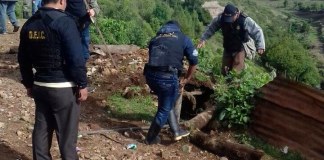 Localizan municiones y semillas de amapola