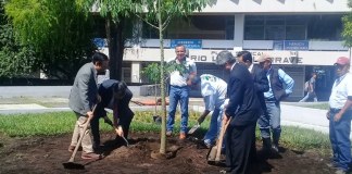 Usac lanza campaña de reforestación