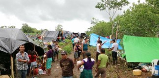 Copredeh: Desalojados en Petén buscan estatus de refugiados en México