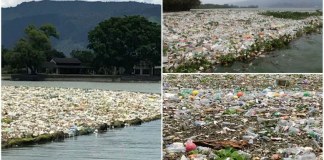 AMSA retira desechos sólidos en lago de Amatitlán