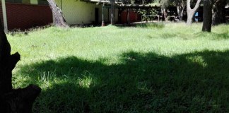 Ministro niega construcción de hospital para privados de libertad