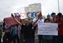 La calma chicha