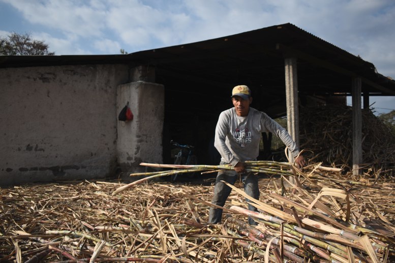 En la foto un hombre desde Santa Rosa en Guatemala
