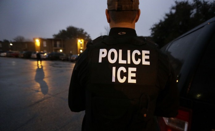 ice agentes