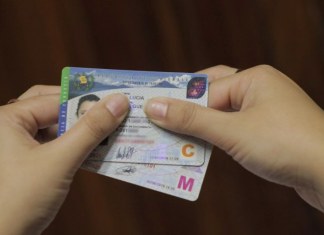 licencia