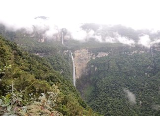 Un estudio constata el uso de 416 plantas medicinales en los Andes del norte de Perú