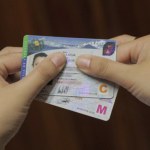 ¿Cómo tramitar la licencia de conducir?