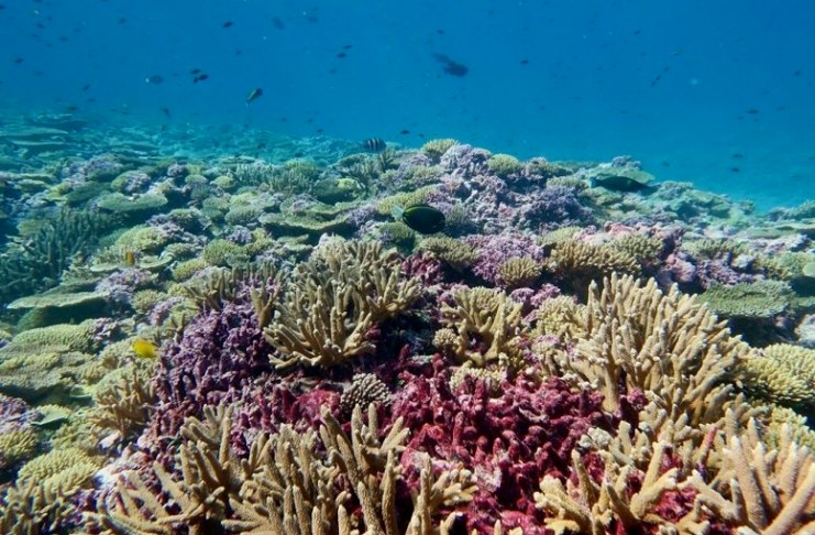 Datos de la NASA y la NOOA refieren que el calentamiento de los océanos se intensifica y es un problema que trasciende a lo económico. Foto La Hora: Archivo