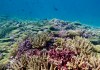 Datos de la NASA y la NOOA refieren que el calentamiento de los océanos se intensifica y es un problema que trasciende a lo económico. Foto La Hora: Archivo