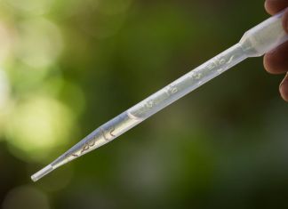 Casos de dengue superaron los 50 mil en 2019