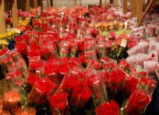Floricultores se unen en campaña “Que florezca la esperanza” por el COVID-19