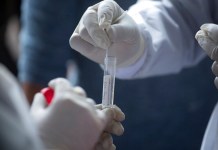 Pandemia e información