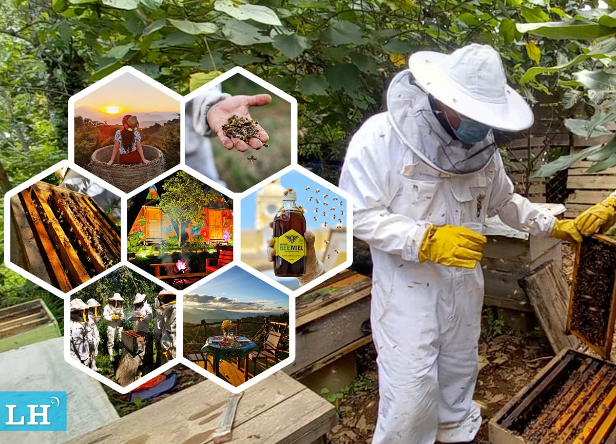 Bee Miel, un proyecto que busca concientizar sobre la importancia de las abejas - La Hora