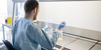 Dinamarca confirma 183 casos de variante ómicron del covid-19