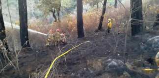 Incendios forestales no cesan: van más de 816 hectáreas afectadas