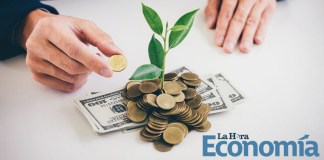Economía verde emprendimiento
