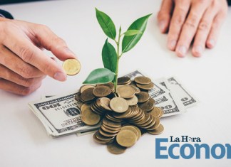 Economía verde emprendimiento