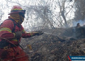 Durante los últimos días se han presentado distintos incendios forestales en varios sectores del País.