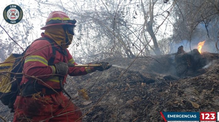 Durante los últimos días se han presentado distintos incendios forestales en varios sectores del País.