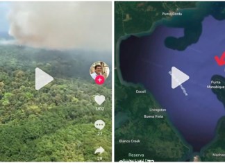 incendio punta de manabique