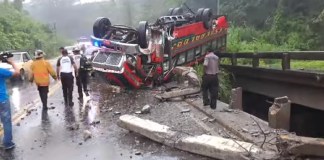 Transporte Accidente Criminal