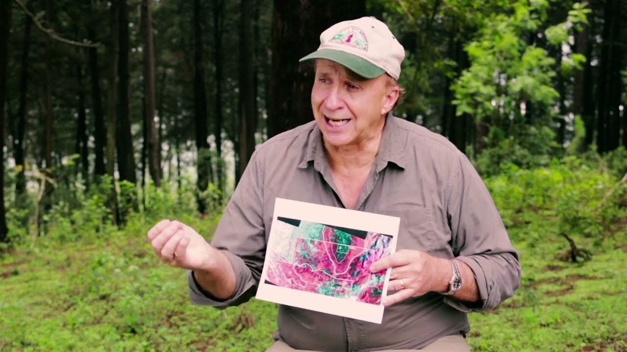 “Quiz” de El Mirador: ¿Qué tanto sabe de esta joya aún por descubrir?