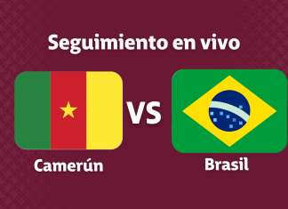CAMERÚN VS BRASIL