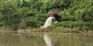 Consultora detalla cómo obtener la licencia ambiental
