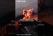 Feliz Año Nuevo