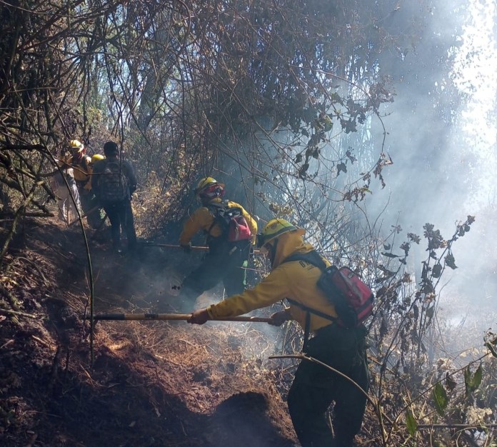 Las labores tuvieron la participación de las Brigadas de Respuesta a Incendios Forestales de Quetzaltenango y El Progreso, un Equipo de Respuesta Inmediata (ERI) de Conred
