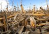 El Niño extremo podría restar 2% al PIB de América Latina y sumar 4.8 millones de personas a la pobreza, advierte CEPAL América Latina en general ha percibido los cambios generados por el clima. Foto La Hora: archivo
