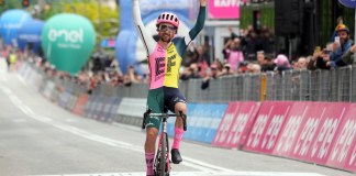 El irlandés Ben Healy celebra tras ganar la octava etapa del Giro de Italia entre Terni y Fossombrone el sábado 13 de mayo del 2023. Foto: AP / La Hora.