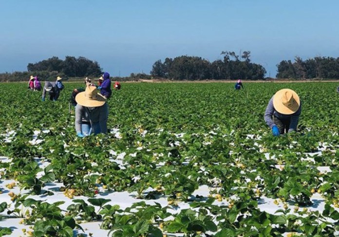 Migrantes Florida