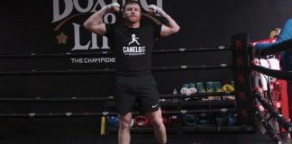 El boxeador mexicano Saúl 'Canelo' Álvarez volverá a pelear en México.