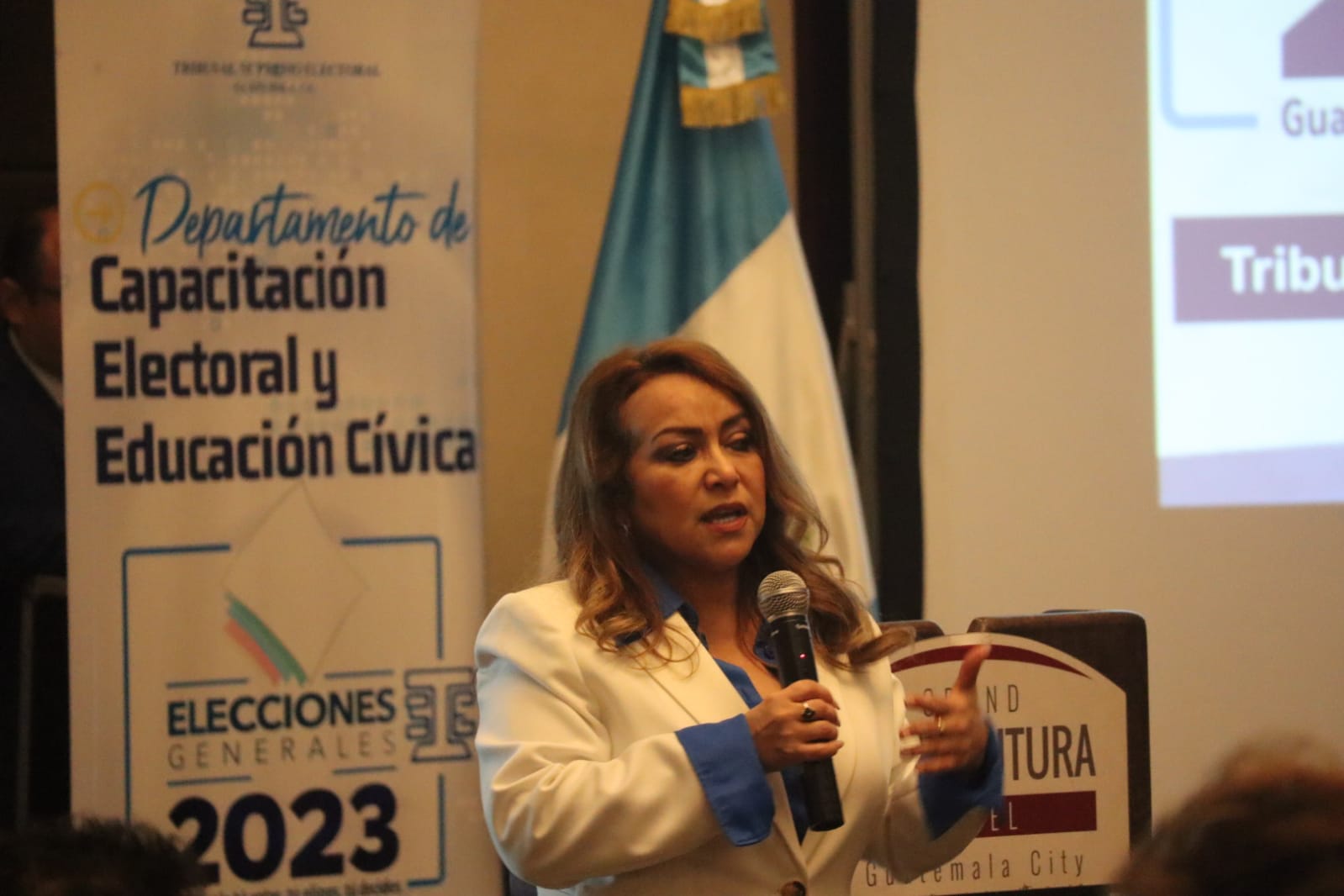 La presidenta del TSE, Irma Palencia. 