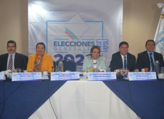 El Tribunal Supremo Electoral (TSE)