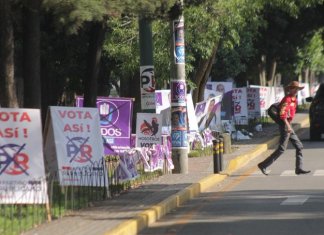 La Misión de Observación Electoral de Guatemala (MOE-Gt)