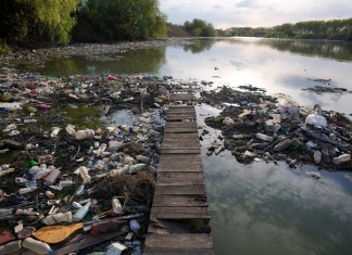 Un montón de basura en el río Danubio, en Belgrado, Serbia, el 18 de abril de 2022.