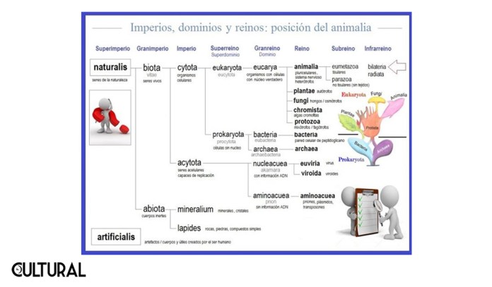 Diseño La Hora