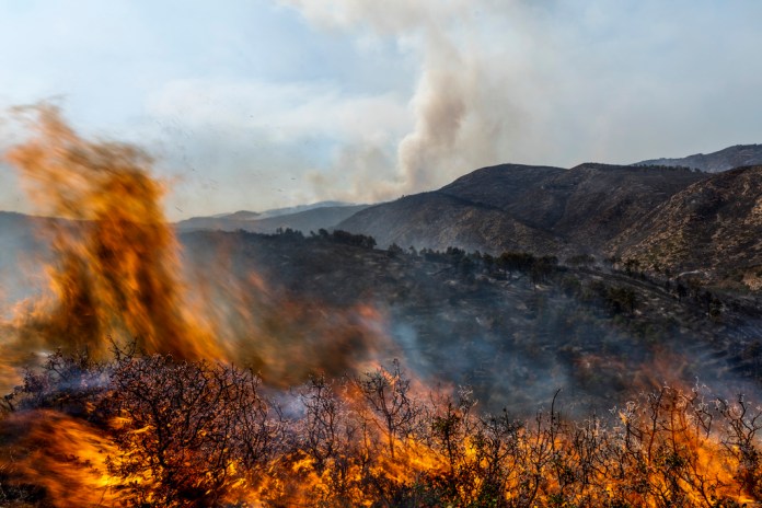Las llamas consumen un incendio cerca de Altura, en el este de España.