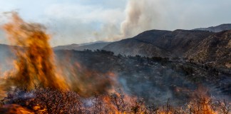 Las llamas consumen un incendio cerca de Altura, en el este de España.