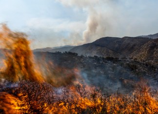 Las llamas consumen un incendio cerca de Altura, en el este de España.